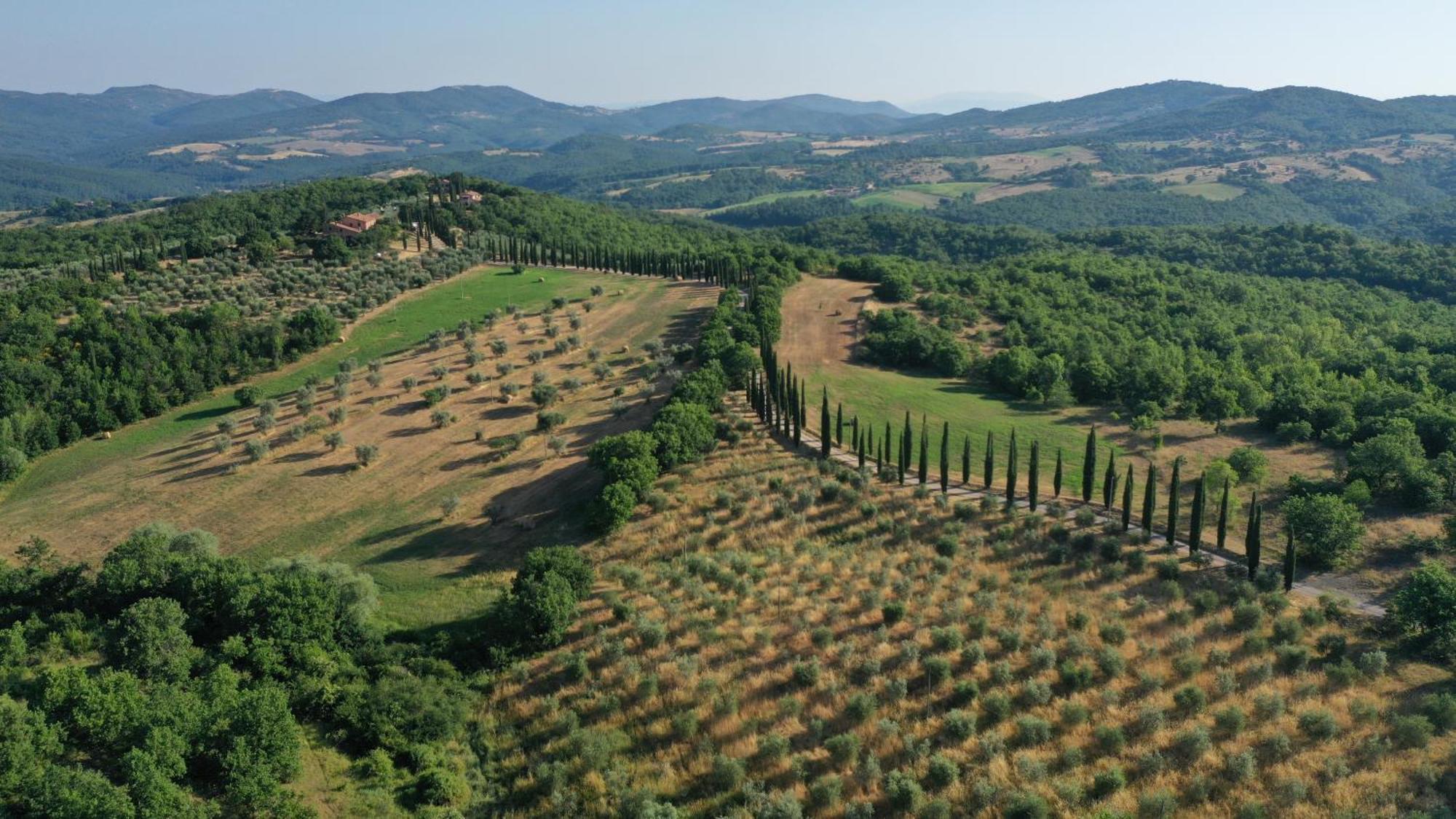 Апартаменты La Coccinella San Venanzo Экстерьер фото