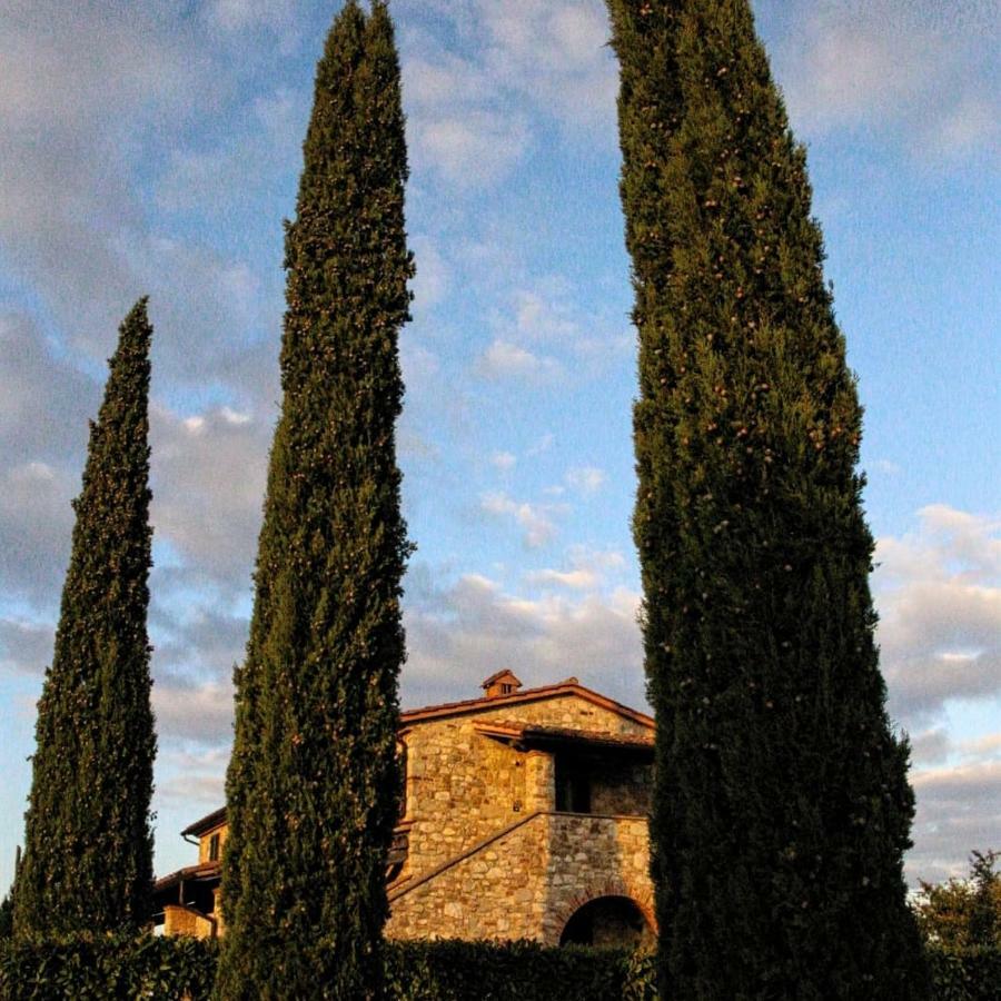 Апартаменты La Coccinella San Venanzo Экстерьер фото