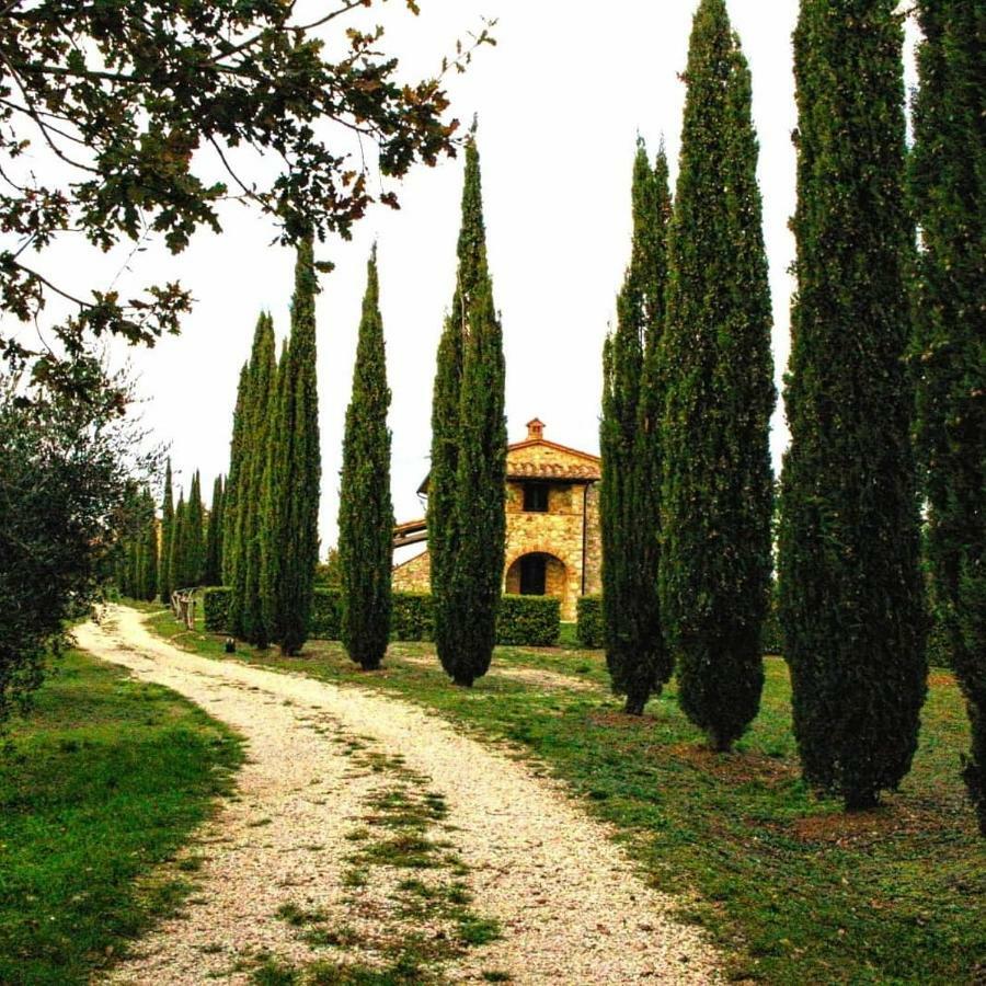 Апартаменты La Coccinella San Venanzo Экстерьер фото