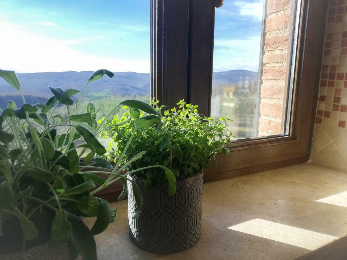 Апартаменты La Coccinella San Venanzo Экстерьер фото